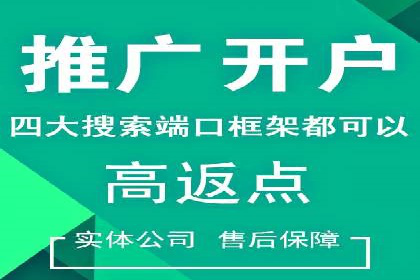 百度推广费用投入与转化率提升的经典案例